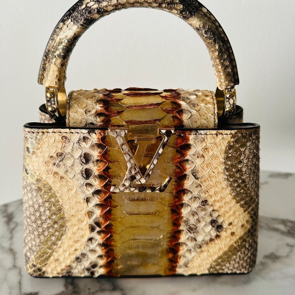 Louis Vuitton Limited Edition Python ICON Bag